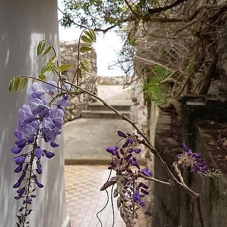Villino Isabella *